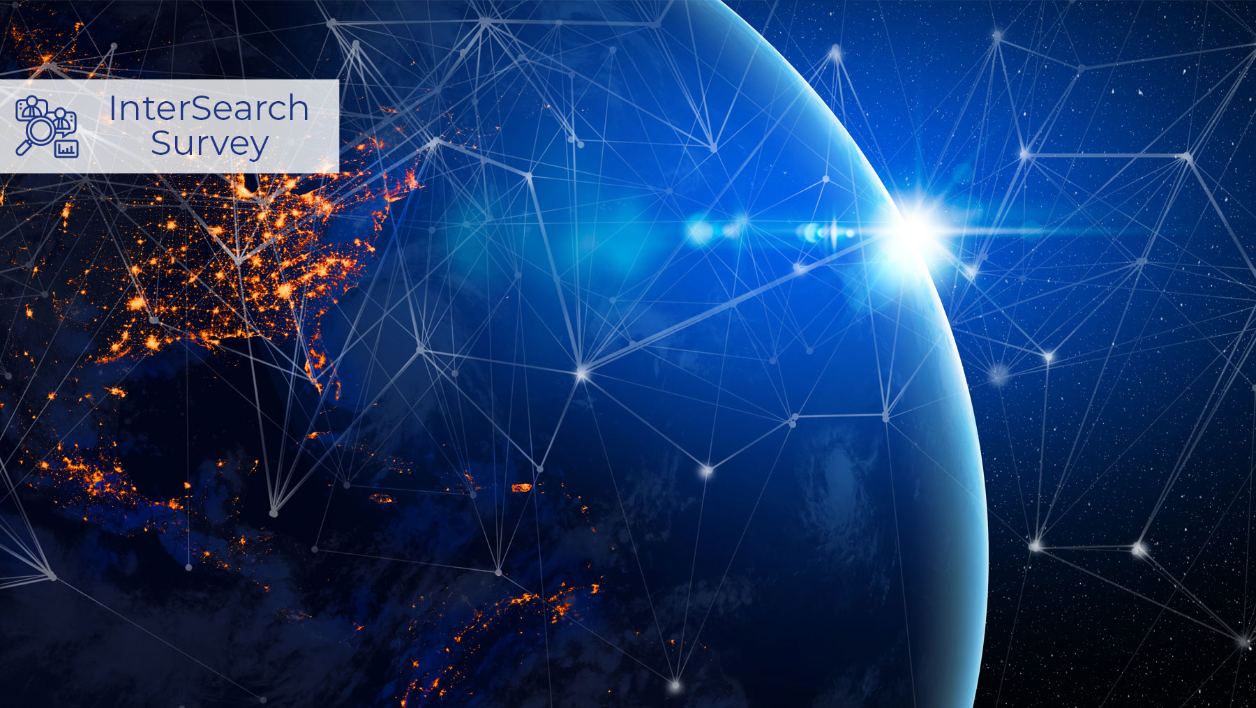 Global Board Survey 2024 – Boards in a Darwinistice Age